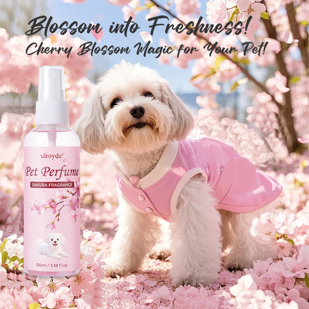 Perfume Fragrance House - Sakura Pet Perfume Spray Long Lasting