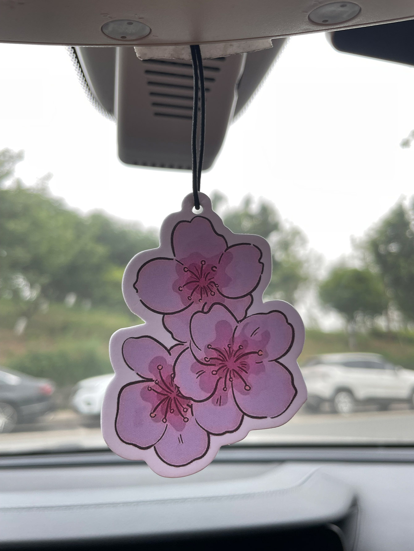 Sakura/Freesia Fresh Scent Fiv - Perfume Fragrance Types บทวิจารณ์และราคา