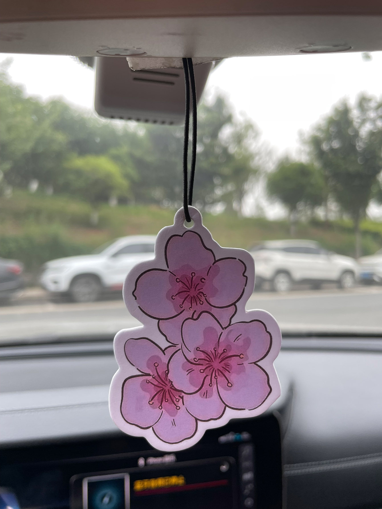 Sakura/Freesia Fresh Scent Fiv - Perfume Fragrance Types บทวิจารณ์และราคา