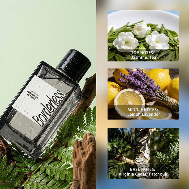 Luxury Borderless Men Perfume  - Perfume Fragrance For Men บทวิจารณ์และราคา